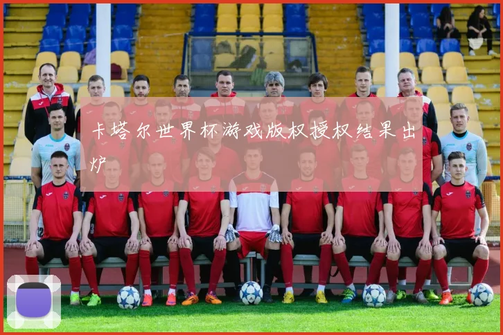 卡塔尔世界杯游戏版权授权结果出炉