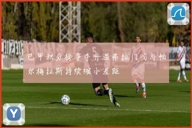 巴甲积分榜争夺升温弗拉门戈与帕尔梅拉斯持续缩小差距