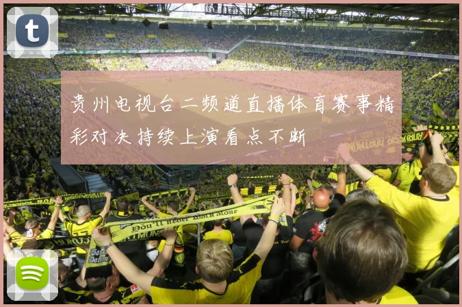 贵州电视台二频道直播体育赛事精彩对决持续上演看点不断